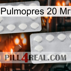 Pulmopres 20 Мг 17